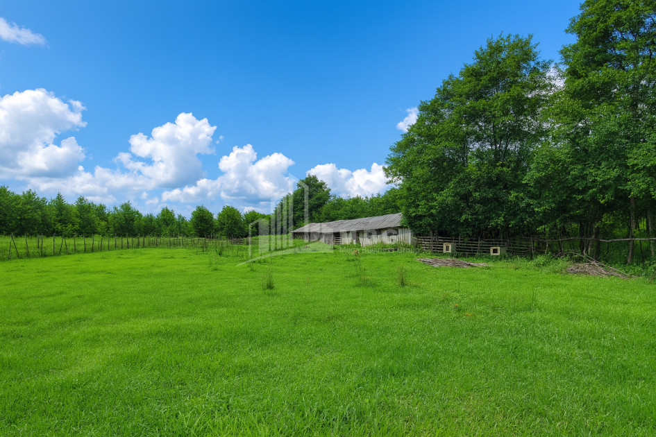 For Sale Land Chibati village Lanchkhuti Municipalities of Guria