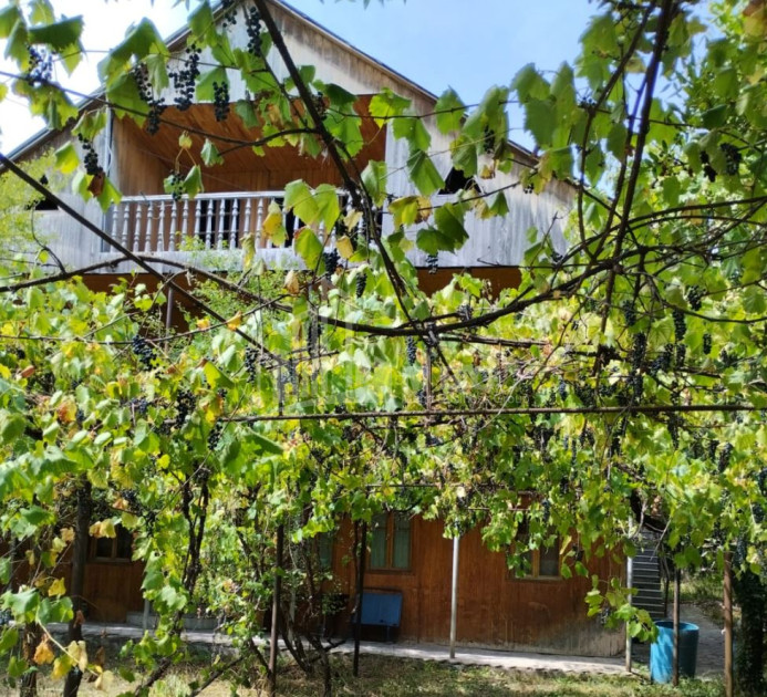 For Sale House Villa Kvishkheti Khashuri Shida Kartli