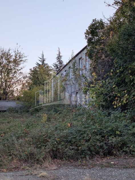 For Sale Commercial Akhmeta Kakheti