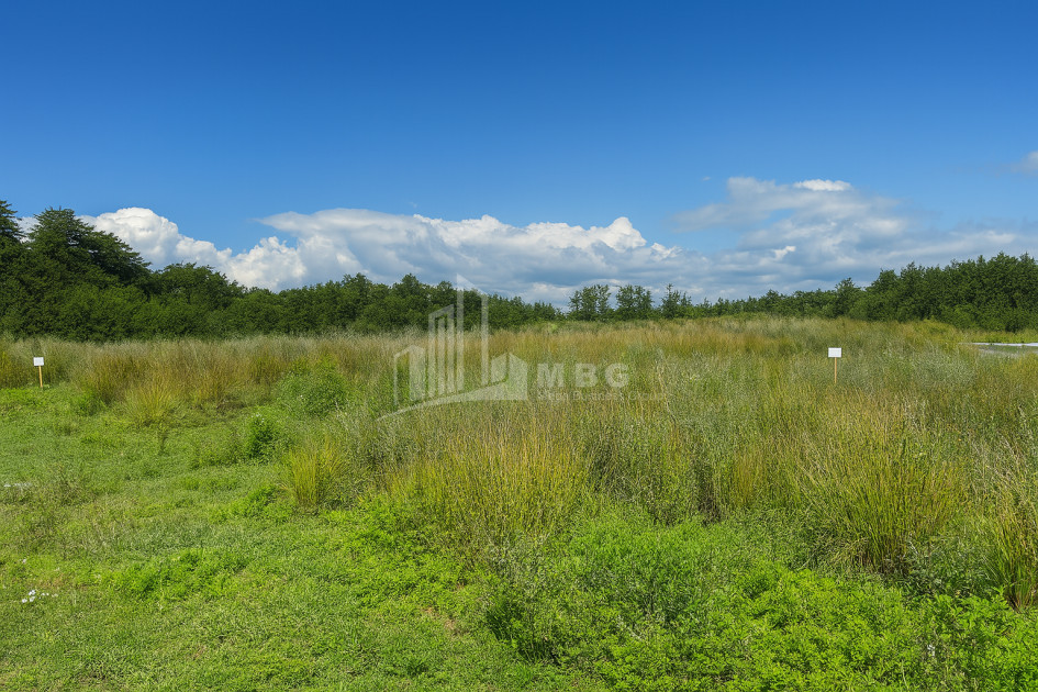 For Sale Land Daba Shekvetili Ozurgeti Municipalities of Guria
