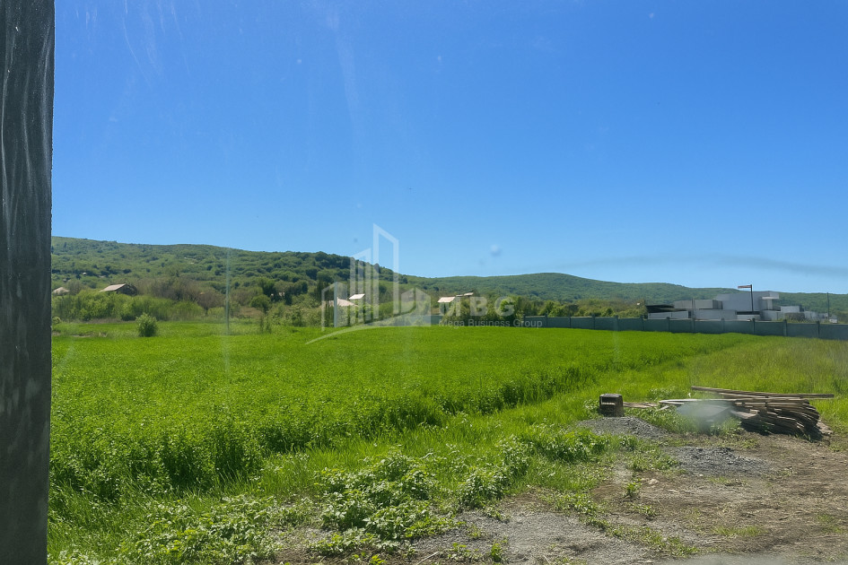 For Sale House Villa Bazaleti Dusheti Mtskheta   Mtianeti