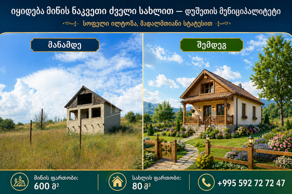 For Sale Country Land In Iltosa village, Dusheti