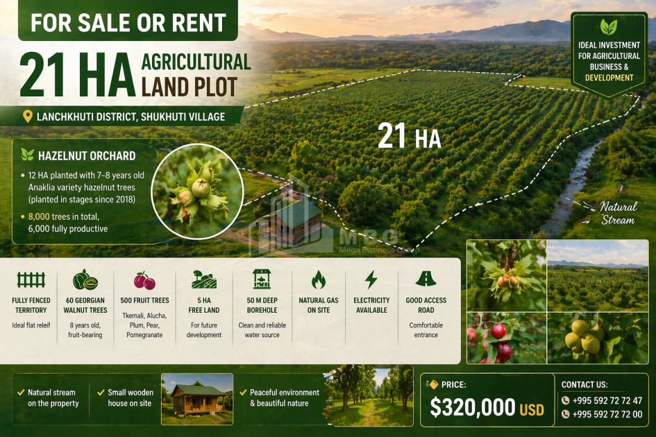 იყიდება ხეხილის ბაღი მიწის ნაკვეთი ქვემო შუხუთში, ლანჩხუთი