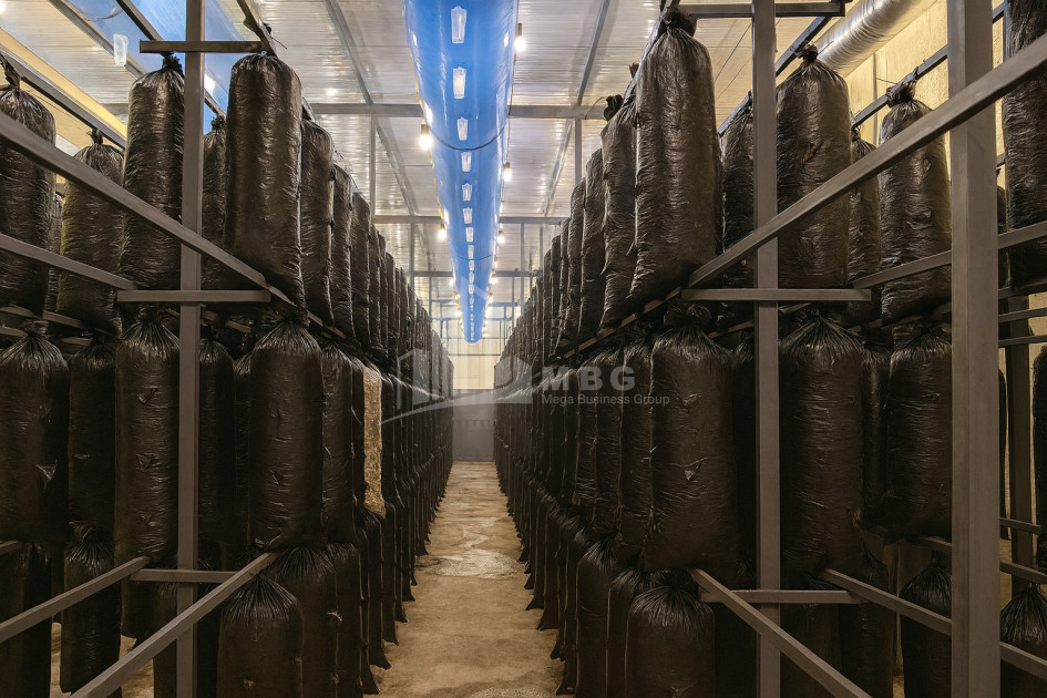 For Sale Commercial Okami Kaspi Shida Kartli