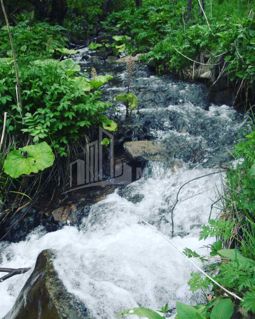 For Sale Agricultural Land, in Tsikhisjvari