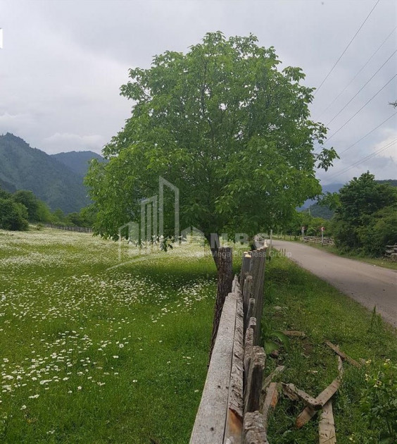 იყიდება სააგარაკე მიწის ნაკვეთი, ტბა