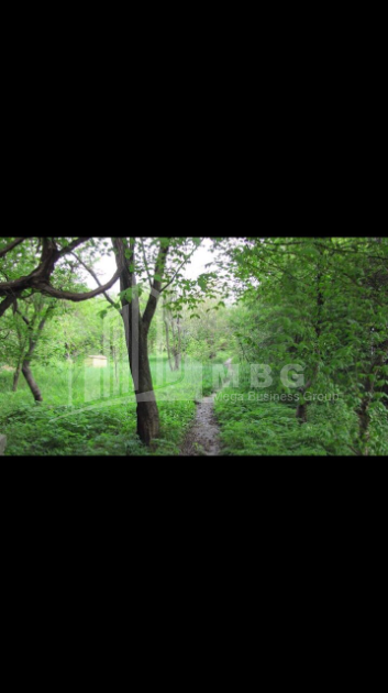 For Sale House - Villa, in Tskneti