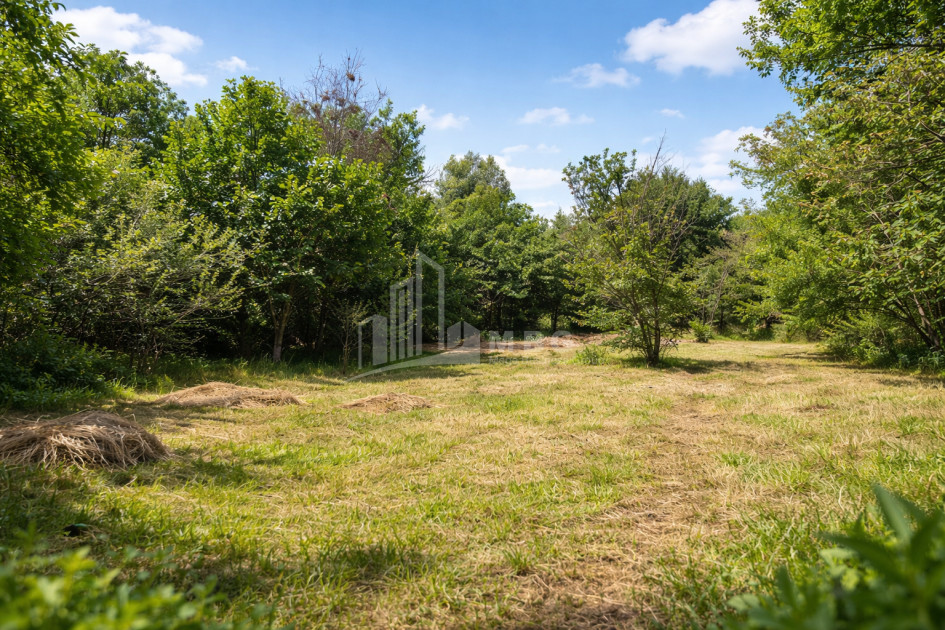 For-Sale-Land-Mchadijvari-village-Dusheti-Mtskheta---Mtianeti