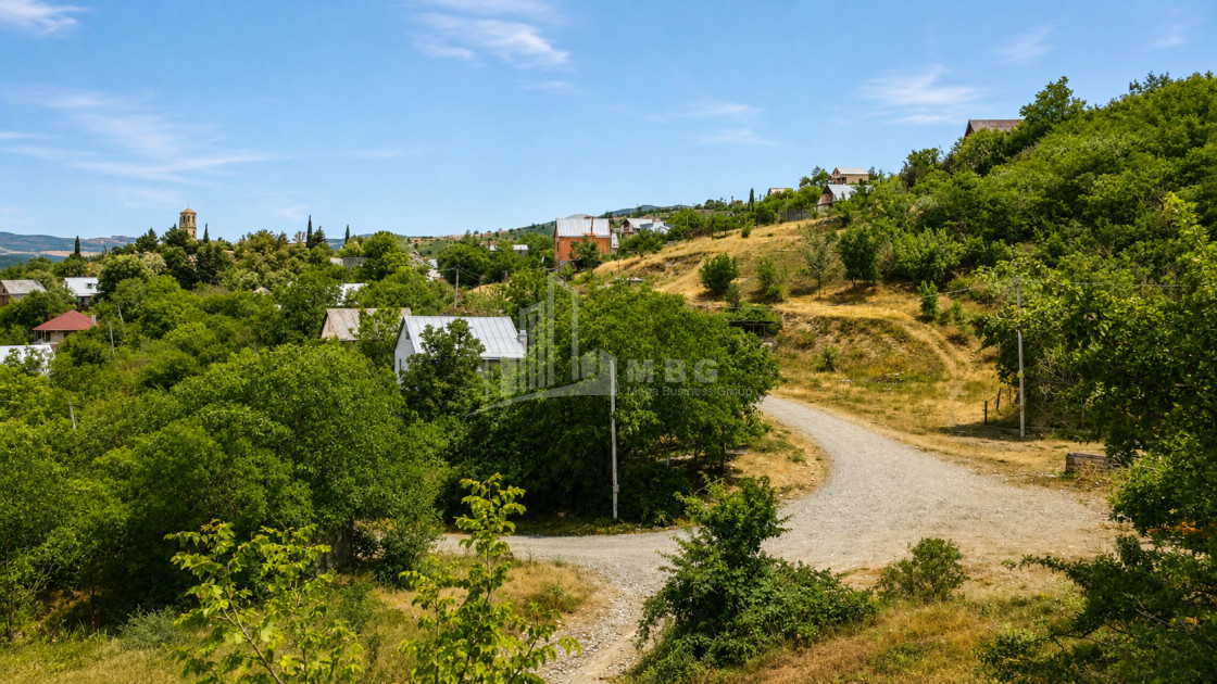 For Sale Country Land In Iltosa village, Dusheti