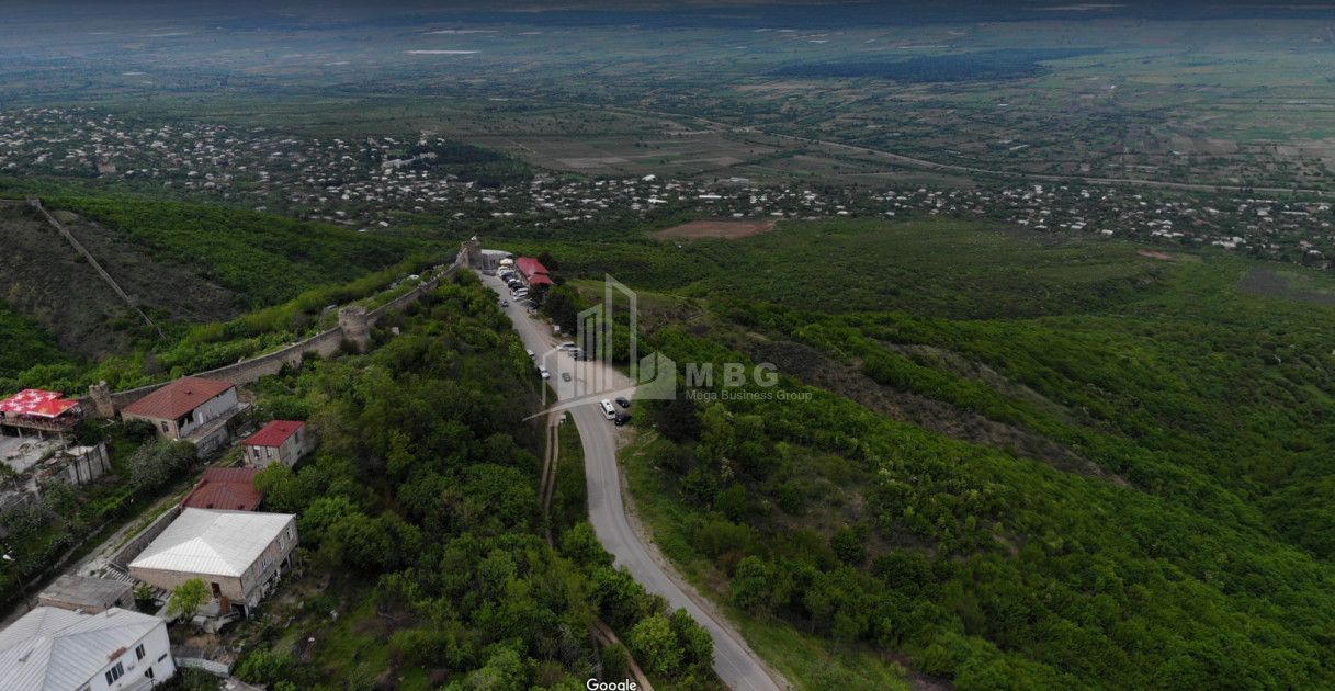 For Sale Land, Signagi Municipality, Municipalities of Kakheti