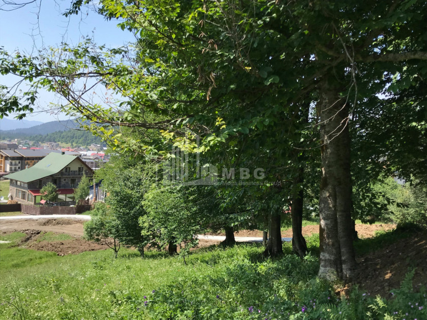 For Sale Hostel - Guesthouse Commercial In Bakuriani, Borjomi