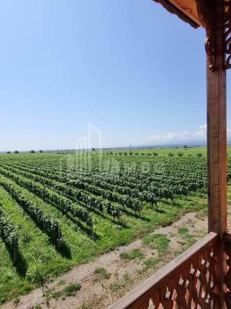 For Sale Commercial Kvareli City Kvareli Kakheti