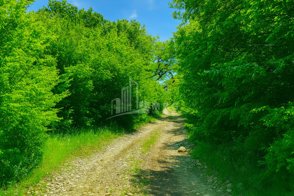 Продается Земля Гомбори Сагареджо Кахети