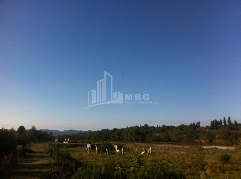 For Sale Land, Zeda Bakhvi, Ozurgeti Municipality, Municipalities of Guria