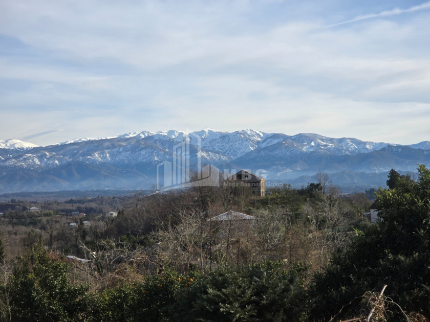 იყიდება ძველი აშენებული სახლი - აგარაკი ზემო ნატანებში, ოზურგეთი