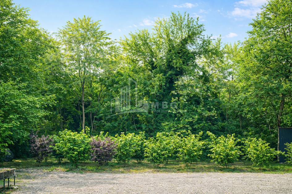 Business for sale Commercial Telavi Kakheti