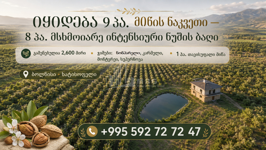 For Sale Orchards Land In Bolnisi