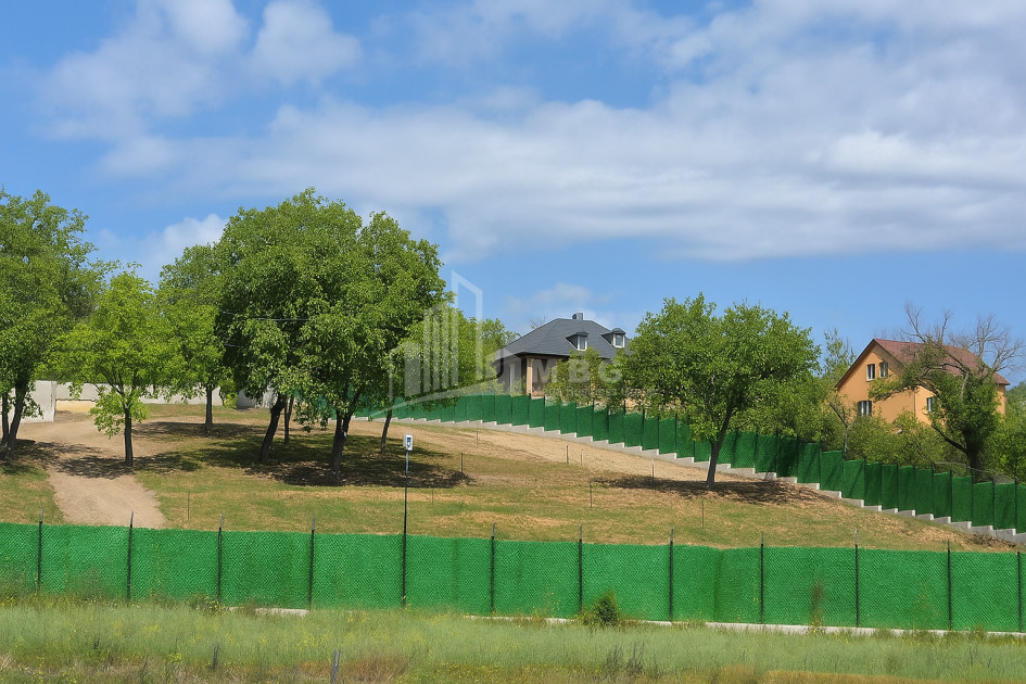 For Sale Commercial Bazaleti Dusheti Mtskheta   Mtianeti