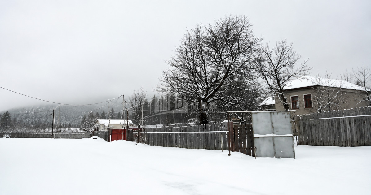 For Sale Country Land In Andesite, Borjomi