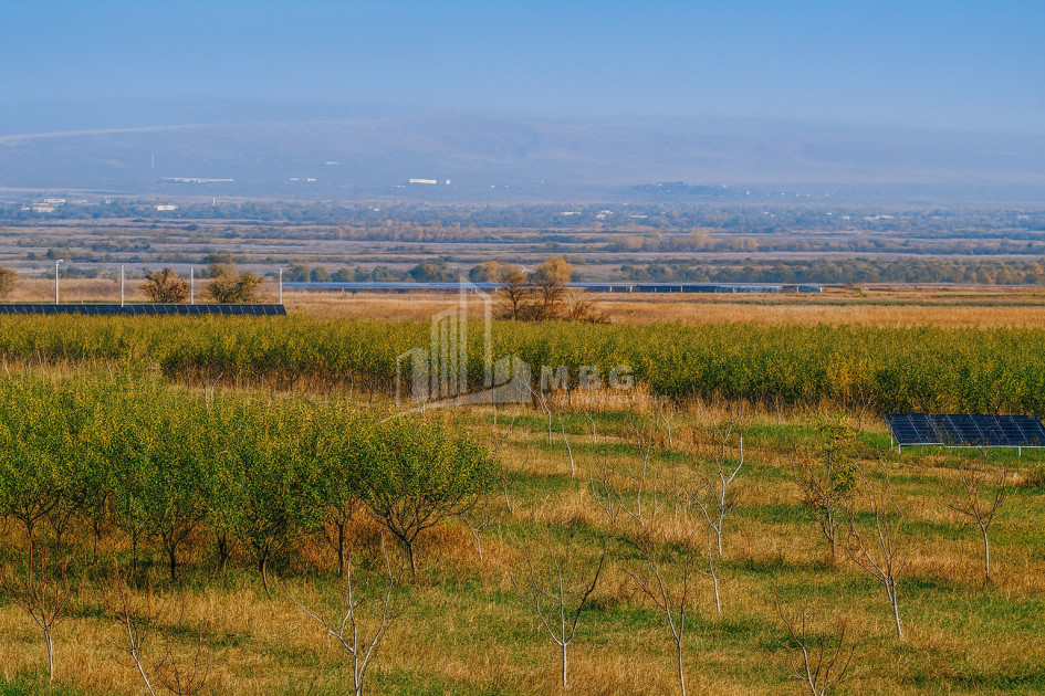 იყიდება მიწის ნაკვეთი სოფელი შაუმიანი მარნეული ქვემო ქართლი
