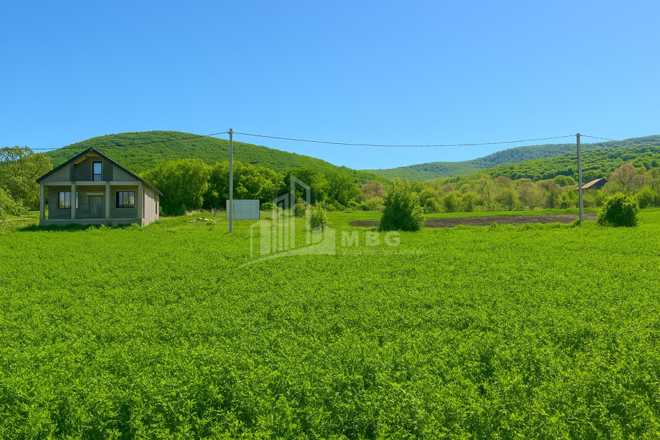 For Sale House Villa Bazaleti Dusheti Mtskheta   Mtianeti