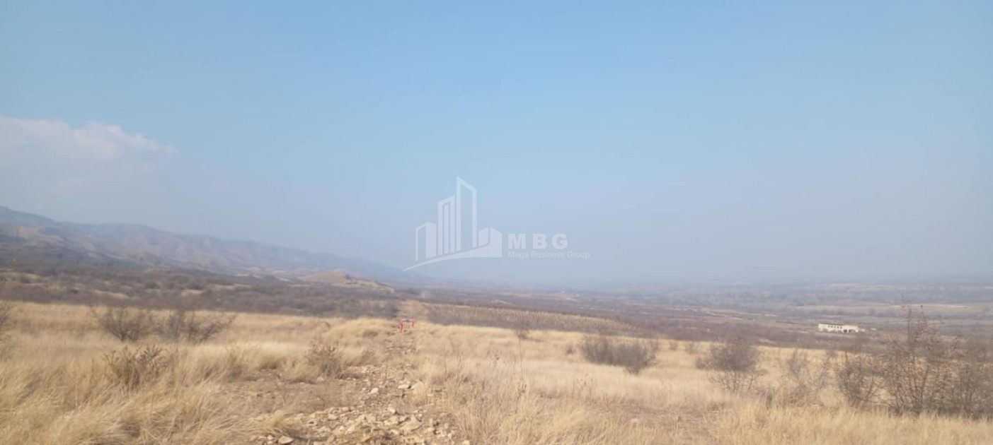 For Sale Land Samtatskaro Dedoplistskaro Kakheti