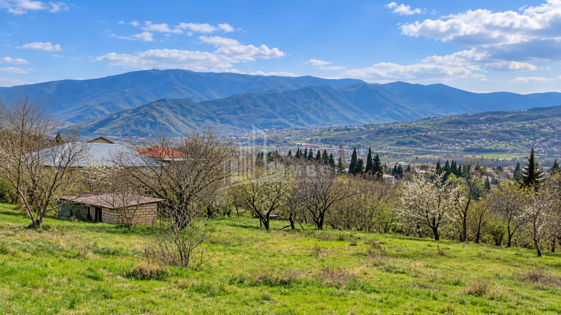 For Sale Country Land In Tsitsamuri, Mtskheta