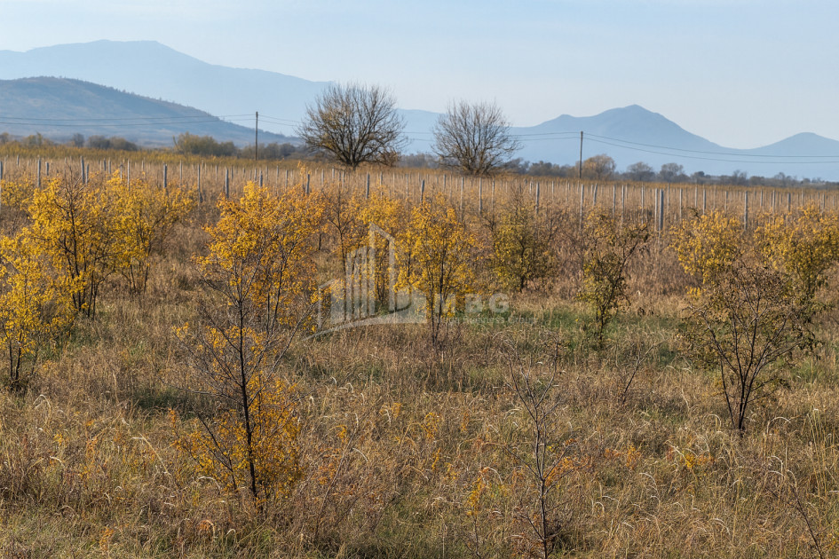 იყიდება მიწის ნაკვეთი სოფელი შაუმიანი მარნეული ქვემო ქართლი