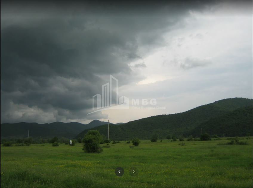 For Sale Vineyard - Chateau Land, in Matani