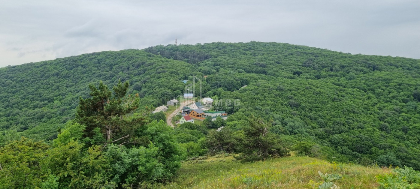 Продается Дом - Вилла В Коджори, Мтацминда Район
