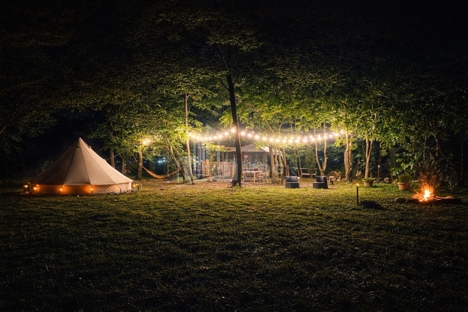 Business for sale Commercial Telavi Kakheti