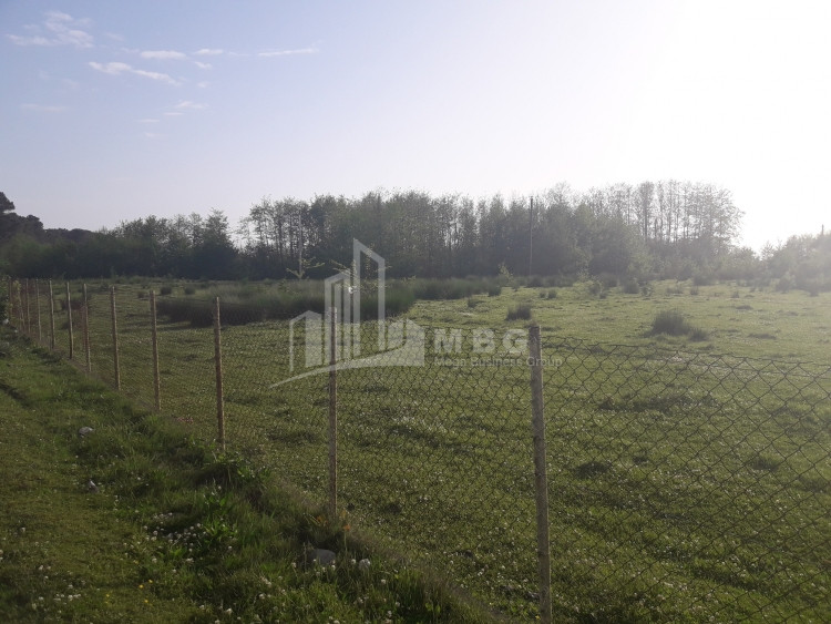 For Sale Country Land, in Lanchkhuti