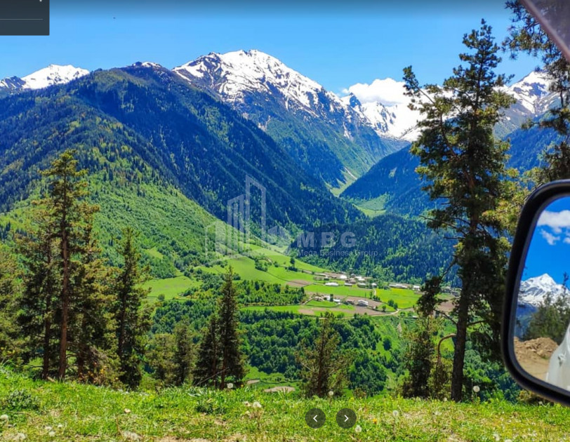 იყიდება სააგარაკე მიწის ნაკვეთი, წვირმი