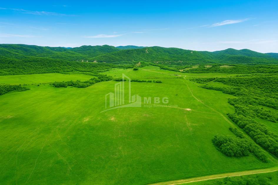 Продается Земля Гомбори Сагареджо Кахети