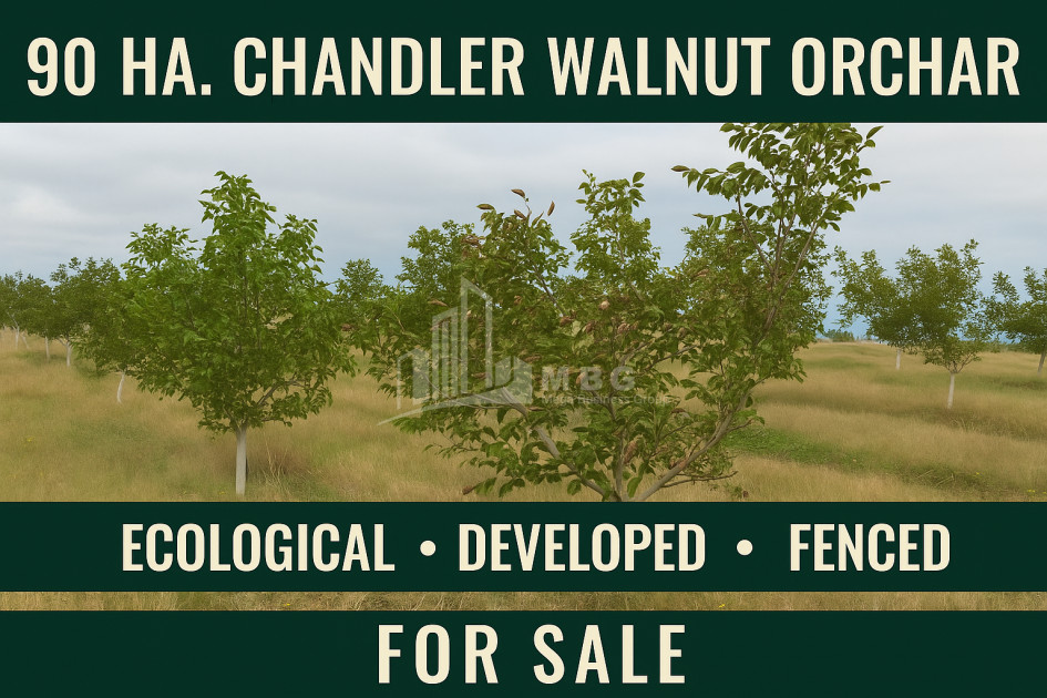 იყიდება მიწის ნაკვეთი ხაშური შიდა ქართლი