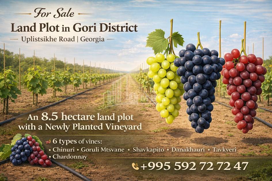 იყიდება მიწის ნაკვეთი გორი შიდა ქართლი
