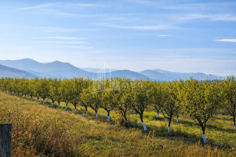 For Sale Land Village Shaumiani Marneuli Kvemo Kartli