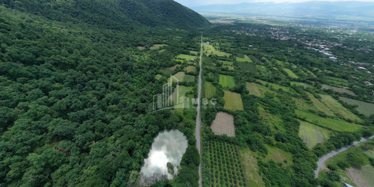 For Sale Land Sabue Kvareli Kakheti