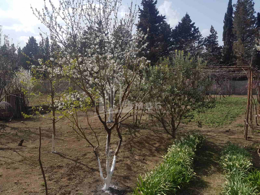 For Sale Residential Land, in Dighmis Chala