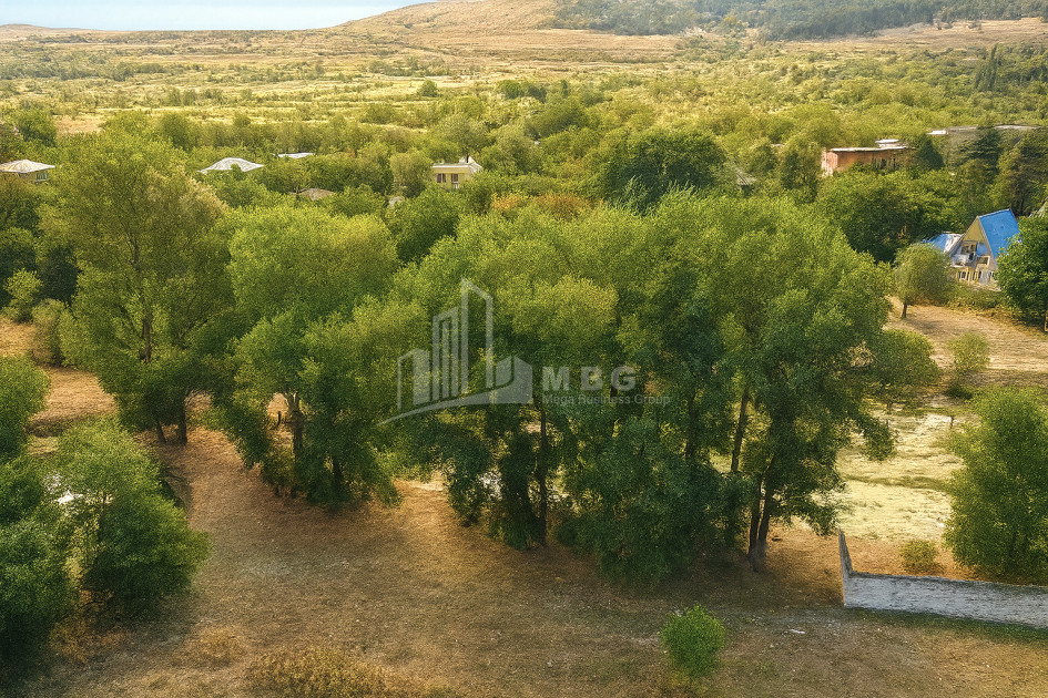 For Sale Land Kekhijvari Kareli Shida Kartli
