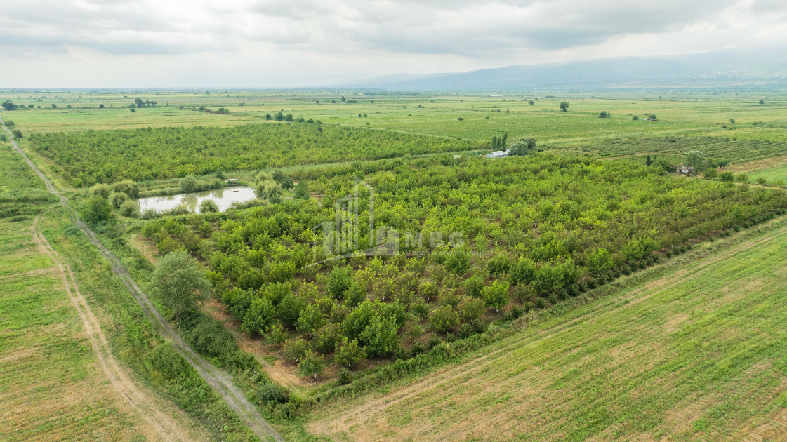 For Sale Land Kakheti