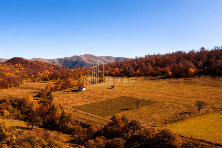 For Sale Land Zemo Gostibe Kaspi Shida Kartli