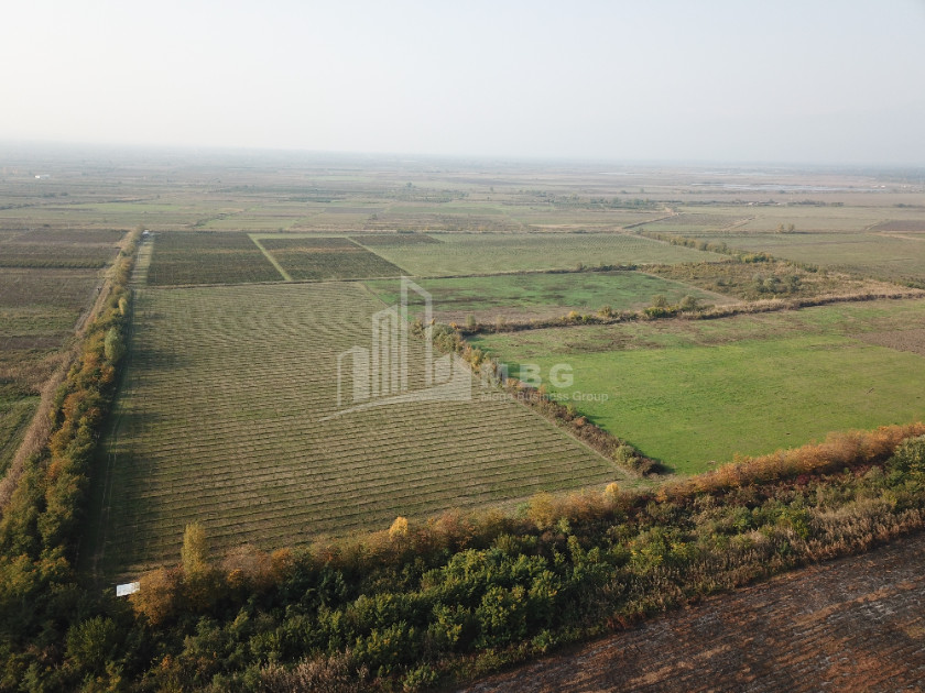For Sale Land, Bakurtsikhe, Gurjaani Municipality, Municipalities of Kakheti