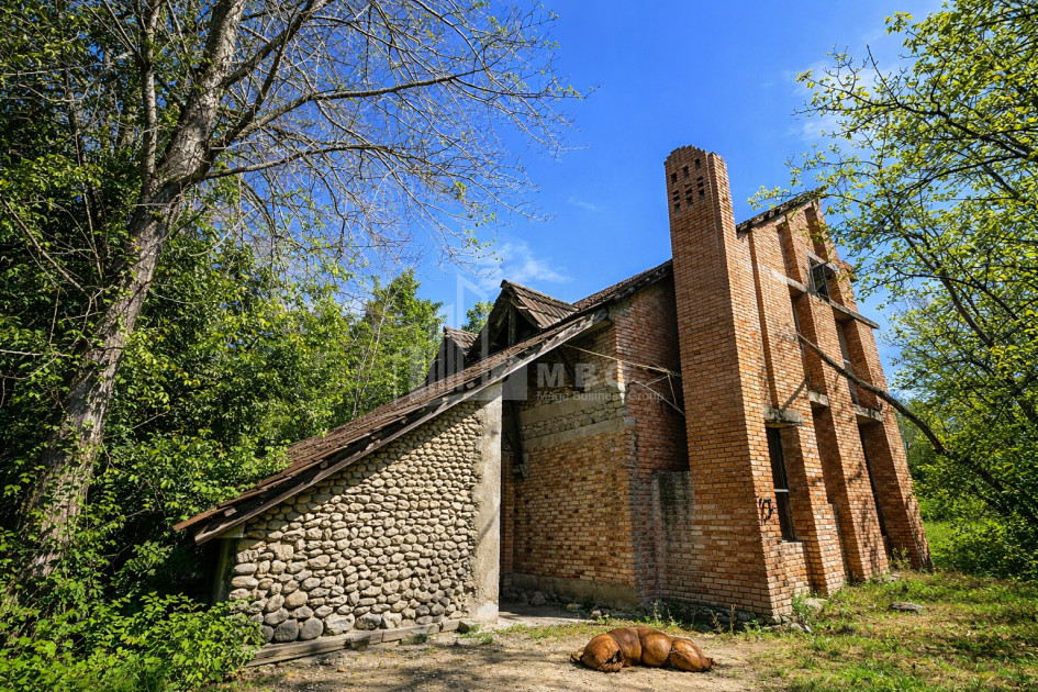 For Sale Old building House - Villa In Sagarejo