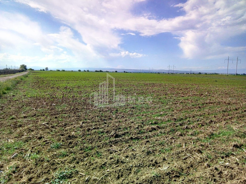 Продается Земля Марнеули Квемо Картли