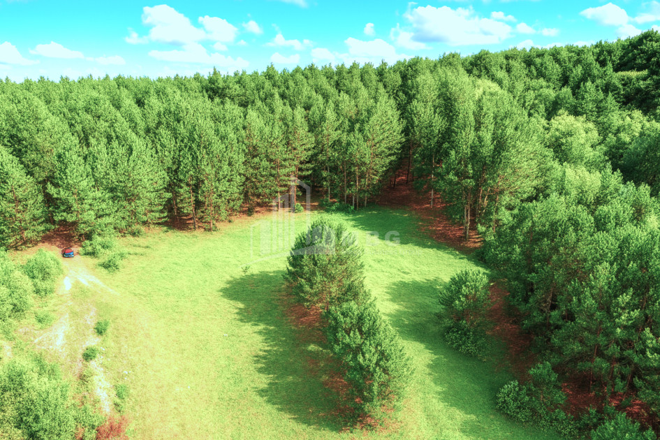 For Sale Land Daba Surami Khashuri Shida Kartli