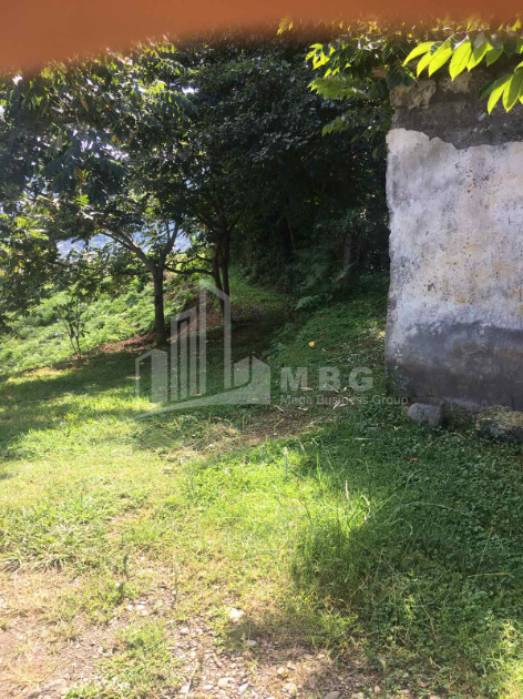 For Sale Land, Buknari, Chokhatauri Municipality, Municipalities of Guria