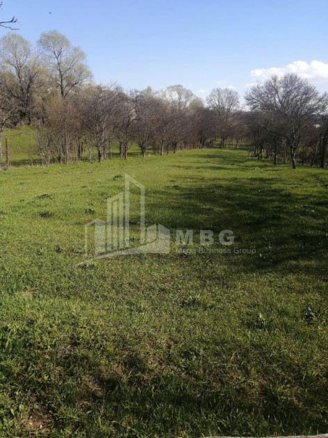For Sale Country Land, in Abastumani