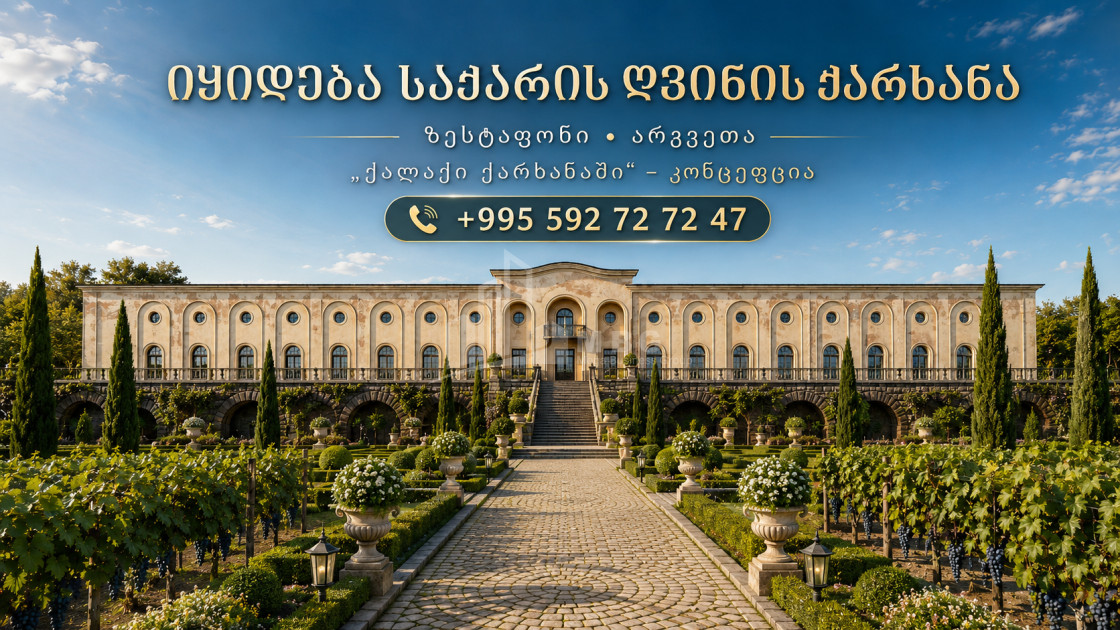 იყიდება შატო / ღვინის ქარხანა / მარანი კომერციული ფართი სოფელ არგვეთაში, ზესტაფონი