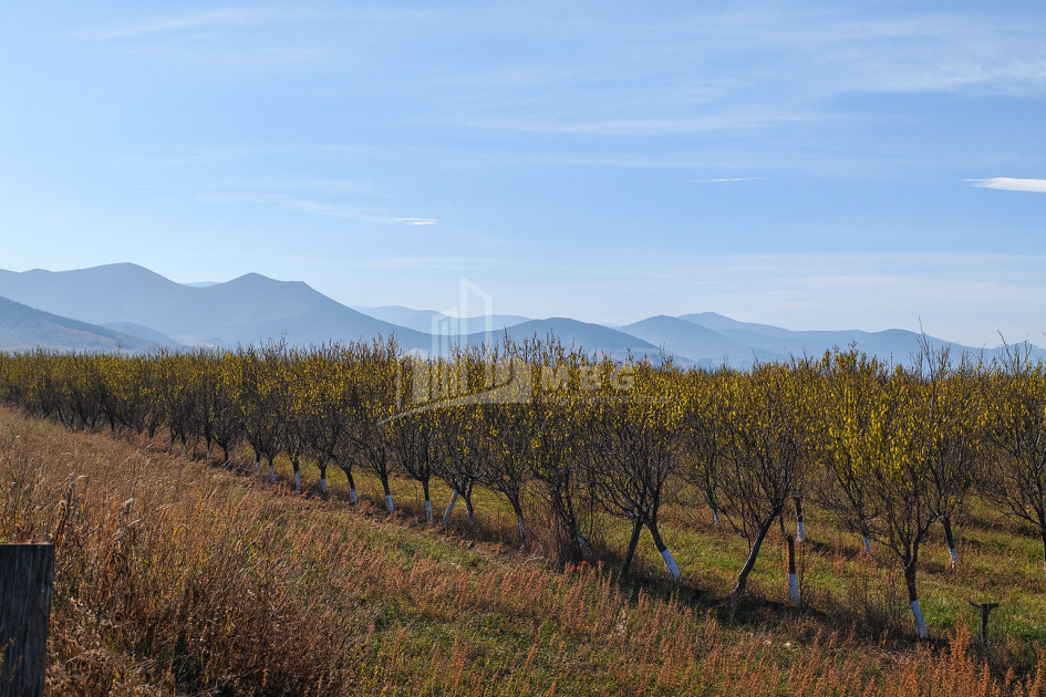 იყიდება მიწის ნაკვეთი სოფელი შაუმიანი მარნეული ქვემო ქართლი